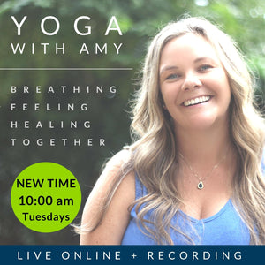 Tuesday Meditative Yoga with Amy on ZOOM