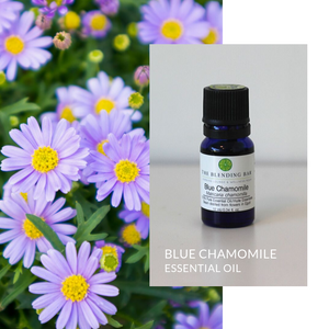Chamomile, Blue | German Chamomile Essential Oil