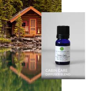 Cabin Care Diffuser Blend