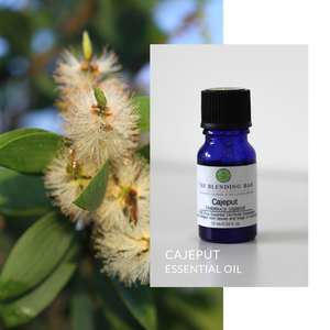 Cajeput Essential Oil