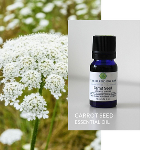 Carrot Seed Essential Oil