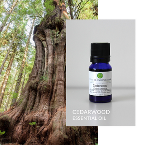 Cedarwood Essential Oil