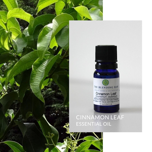 Cinnamon Leaf Essential Oil