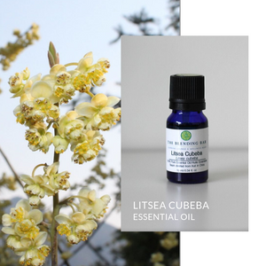 Litsea Cubeba Essential Oil