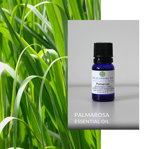 Palmarosa Essential Oil