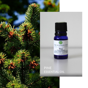 Pine Essential Oil