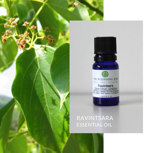 Ravintsara Essential Oil