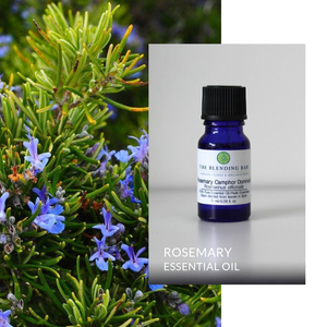 Rosemary Essential Oil