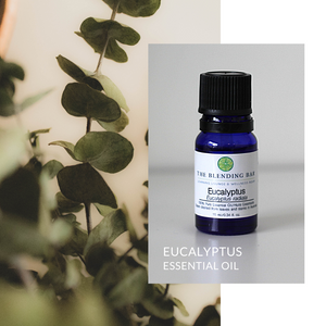 Eucalyptus radiata Essential Oil