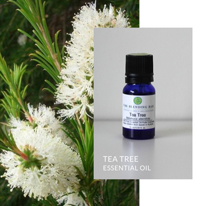 Tea Tree Essential Oil