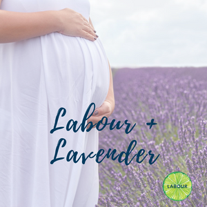 Labour + Lavender