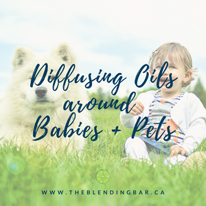 Babies + Pets | Diffusing Oils Safely