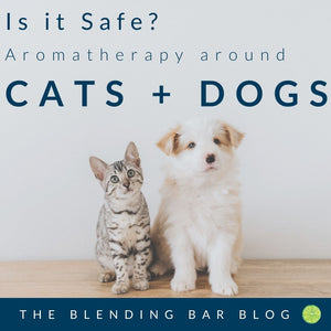 Cats, Dogs + Aromatherapy