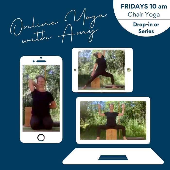 Friday Chair Yoga with Amy on ZOOM