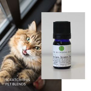 Pet Blends for Cats + Dogs