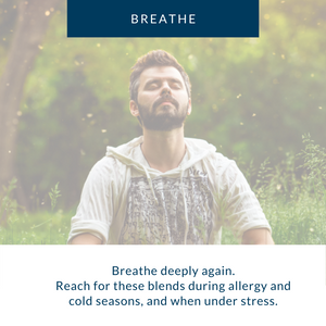 Breathe | Seasonal Allergies, Cold & Flu