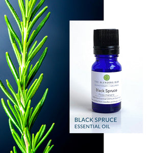Spruce, Black Essential Oil